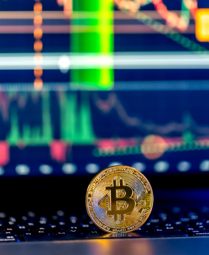 Velzomerinex Trading Informationen